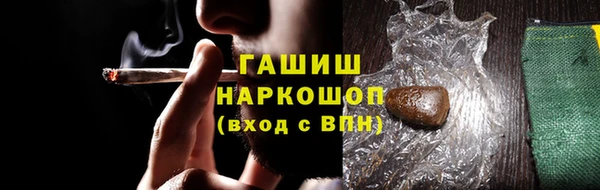 индика Волосово