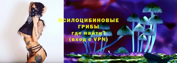 индика Волосово