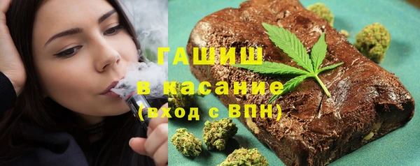 индика Волосово