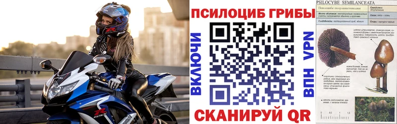Псилоцибиновые грибы прущие грибы  цена   Злынка 